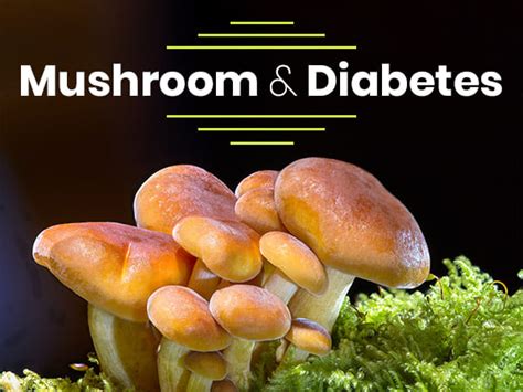 mushrooms good for diabetes